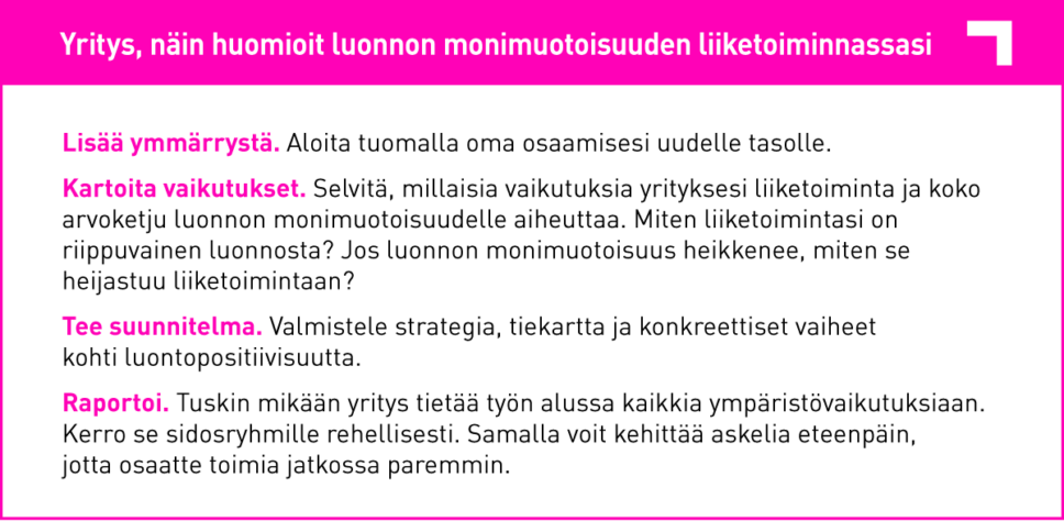 AFRY:n vinkit luonnon monimuotoisuuden huomioimiseen yritysten liiketoiminnassa.